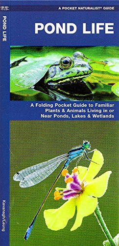 pond life a folding pocket guide to familiar plants  animals living in or near ponds lakes  wetlands pocket