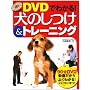 DVD�ł킩��!���̂���&�g���[�j���O