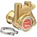 Procon 141A125F11AA Low Lead Brass Rotary Vane Pump, 3/8" NPTF, 131 GPH