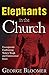 Elephants in the Church: Courageously Confronting Today's Tough and Controversial Issues