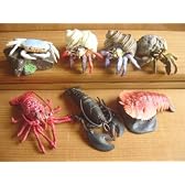 再販 地球生命紀行 蟹 海老 3 シークレット 入 7種 エビ科 全7種 未開封 ミニブック付 1 オカヤドカリA2 オ