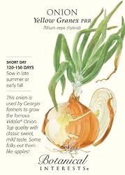 Onion Yellow Granex Seeds 250 Seeds