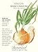 Onion Yellow Granex Seeds 250 Seeds