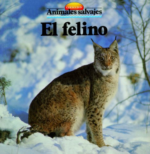 El felino (Spanish Edition)