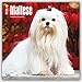 Maltese 2016 Square 12x12 (Multilingual Edition)