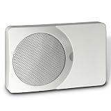 iChime Auxiliary Speaker