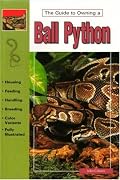 The Guide to Owning a Ball Python