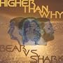 Bear Vs Shark