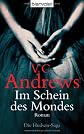 Die Hudson-Saga 04. Im Schein des Mondes