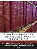 Prison Radicalization: Are Terrorist Cells Forming In U.S. Cell Blocks?