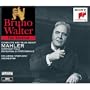 Symphony No. 9 in D minor/I. Andante comodo