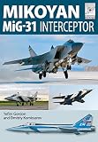 Mikoyan MiG-31: Defender of the Homeland (Flight Craft)