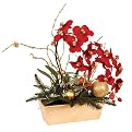 Splendor Orchid Planter - 23"