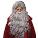 Moses Wig/Beard - Grey (Grey;One Size)