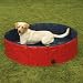 Guardian Gear Dog Pool Lrg Red/Blue