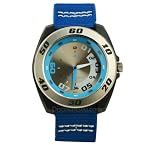 Fastrack Men Blue Analogue Watch-N9298PV06
