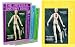 Integral Anatomy Series 4 DVD Set - Gil Hedly Presents Whole Body Dissection of the Skin, Superficial, Deep, Muscle, Cranial Fascia, Viscera & Visceral Fasciae