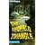 The Fairfield Triangle (Strange Matter�)