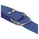 SSG / BSN 1 1/4in Width Football Belts
