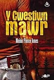 Y cwestiwn mawr