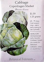 Cabbage Copenhagen Market Heirloom Seed 150 Seeds