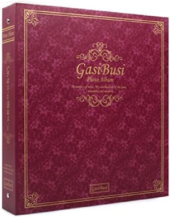 Photo Albums Storage Pocket Type Wedding 3x5 50 Page Holds 600 Classic Purple