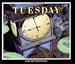 Tuesday