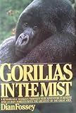 Gorillas in the mist