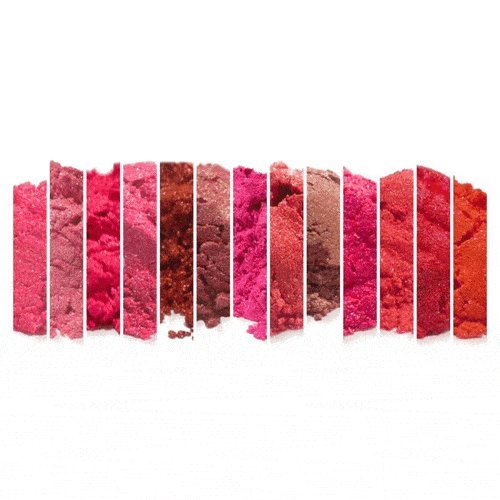 Pink/Red Mica Sample Set Powder Soap Making Colorant Cosmetics Art Crafts Nail Polish Resin Casting Stamping Dye Pigment Color