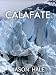 Books : El Calafate, Argentina: A Concise Travel Guide