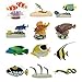 (Companion of fish that live in the coral reef) three-dimensional picture book Real Figure box Coral Reef Fish (japan import)