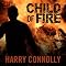 Child of Fire: A Twenty Palaces Novel, Book 1