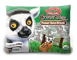 EnviroKidz Organic Crispy Rice Bars Peanut Choco Drizzle Treat Size, 9-Ounce Packages (Pack of 12)