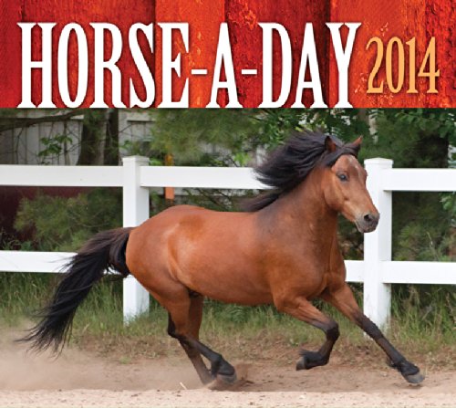 Horse-A-Day 2014