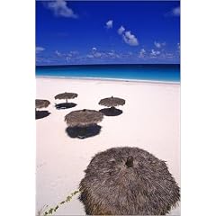Poster 40 x 60 cm - "Thatch umbrellas on Pink Sands Beach." von Greg Johnston / Lonely Planet Images - auch in anderen Gr��en und als Leinwandbild erh�ltlich