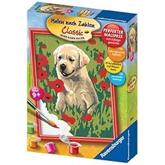 Ravensburger 27856 - Hund im Mohnfeld - Malen nach Zahlen, 13 x 18 cm