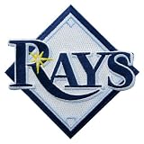 MLB Tampa Bay Rays Embroidered Team Logo Collectible Patch