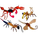 Zoomorphs Insectmorphs
