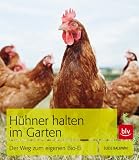 Buch