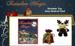 Reindeer Magic - Story Book & Toy Set