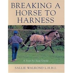 Breaking a Horse to Harness: Step-by-step Guide