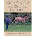 Breaking a Horse to Harness: Step-by-step Guide