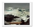 Winslow Homer, Driftwood