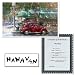 "Red Bug" by Frank Hanavan.
