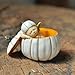 Top Collection Miniature Fairy Garden and Terrarium Sleeping Fairy Baby in White Pumpkin Statue