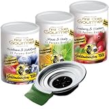Goldmännchen Tee Pads - Start Set, Quadrante - (geeignet für Senseo)