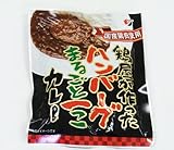 鶏屋が作ったハンバーグまるごと一こカレー 200g