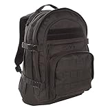 Sandpiper of California Three Day Pass Backpack (Black, 20x14.5x8.5-Inch)