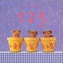 123
