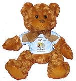 CRAZY PEOPLE DO CRAZY THINGS BUT Babysitters ARE PERFECTLY SANE! Plush Teddy Bear with BLUE T-Shirt